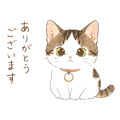 Cute Fluffy Cat Stickers: Daily Sayings