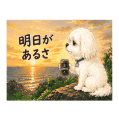 Maltese Positive Stickers NanoLife