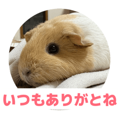 Poteko daily sticker 2