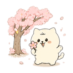 My beloved Pomeranian (all seasons)