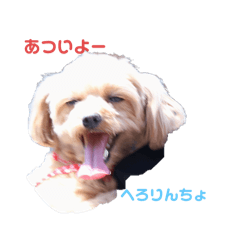 Tsukino LUNA_20260427130958