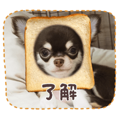 yuichi_20260421175939