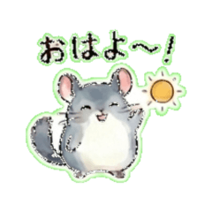 ChinchillaMousepocchin DailyChatStickers