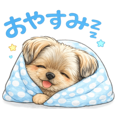 Hana Stamp_20260425231722