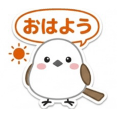 makii_20260425233548