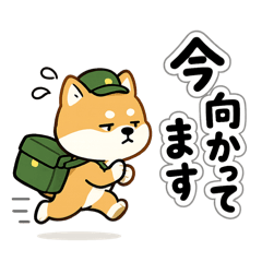 asumaru_20260426000843