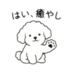 chika_20260426001738