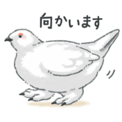 fusaco_20260426002731