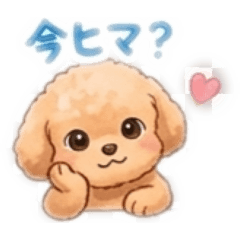 N-M Photography_20260425235813