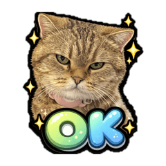 Metika_20260427095028