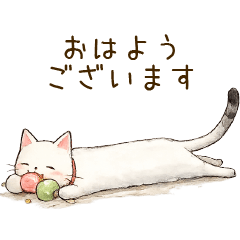 hosonagaineko