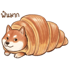 ชิบะจอมป่วนสุดคิ้วท์