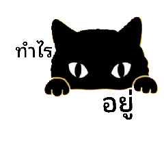 thxngdaeng_20260424160813