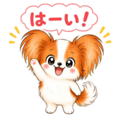 Papillon-1