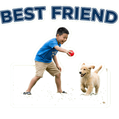 刀疤霆也會說英語