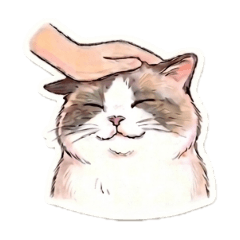 Cat2m_20260425174048