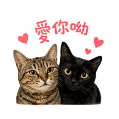 棉花糖果の軟萌日常