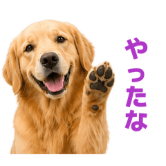 guremuriko_20260426010543