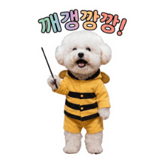 Bichon Seori's Viral Phrases! Got it?