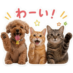 Natsumi_20260426220809