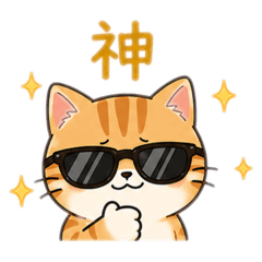 popola_20260426220637