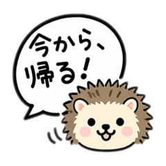 popola_20260426220847