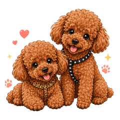 貴賓狗豆豆、皮皮