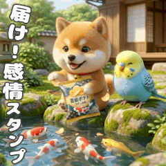 届け！柴犬&インコの感情スタンプ