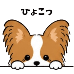 Papillon stickers1103