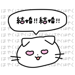 Supeeer Cat