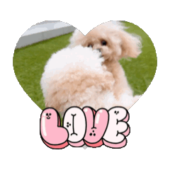 cocomoco_20260426055415