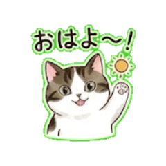 mi-chan- Daily Chat Stickers2