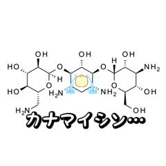 kinoto_20260426223930