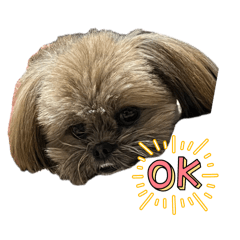 ponzu_20260426223904