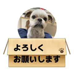 chiimamasan_20260426224454