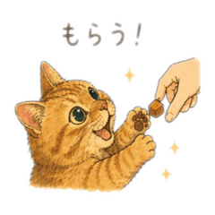 yamamiho_20260426224718