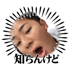 shingo_20260421190934