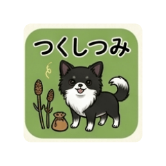 shunachiwa_20260426224504