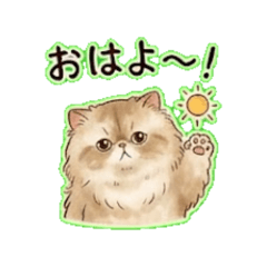 Neko - Chat Stickers