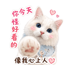 罐罐貓ㄟ肉麻情話～