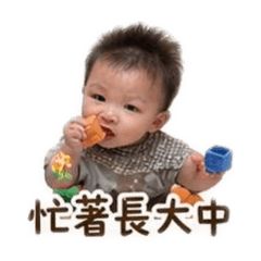 我媽叫我酪梨2