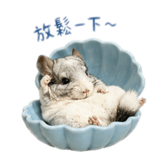 《胖呆胖咪胖婗｜療癒日常》