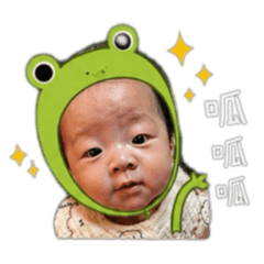 鮭魚頭 日常貼圖