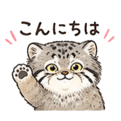 Fluffy Manul Pallass Cat Daily Stickers