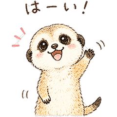 Standing Meerkat's Cute Daily Stickers