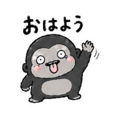 Everyday Funny Gorilla