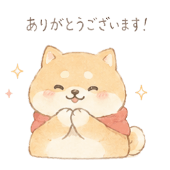 Everyday Polite Shiba Inu