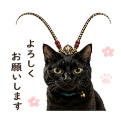 shiho_20260426091944