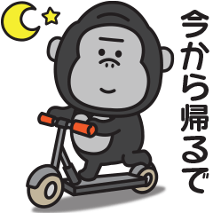 Kansai dialect Gorilla contact 5