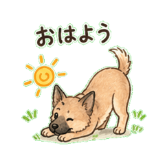 Dog - Daily Chat Stickers